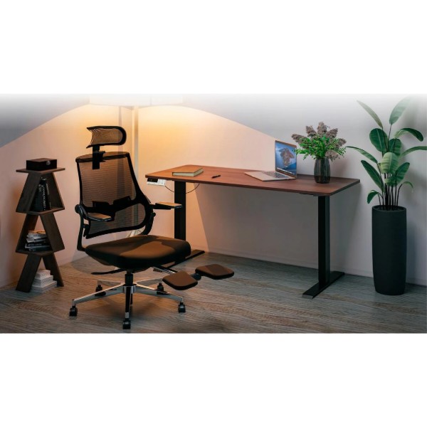 Фото - Стіл з електрорегулюванням висоти Mealux PowerDesk Duo Walnut (EVO-242 Duo Walnut /B)